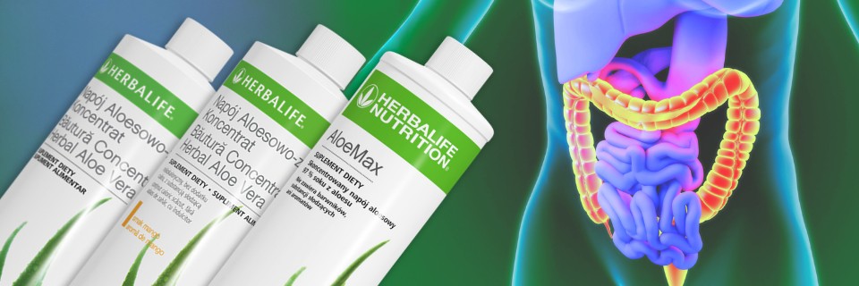 Aloe Max Herbalife