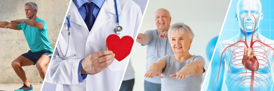 Niteworks Herbalife - wzmocnienie układu krwionośnego